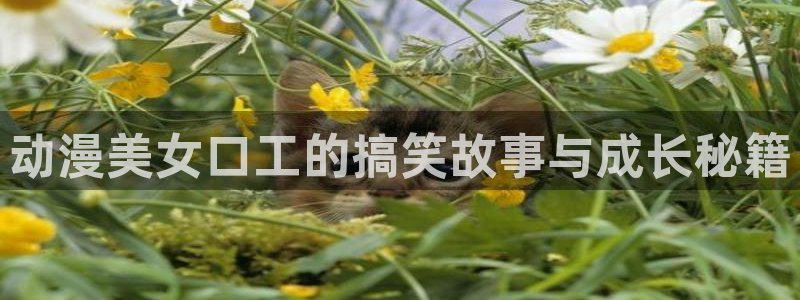 动漫天堂官方正版入口怎么下载